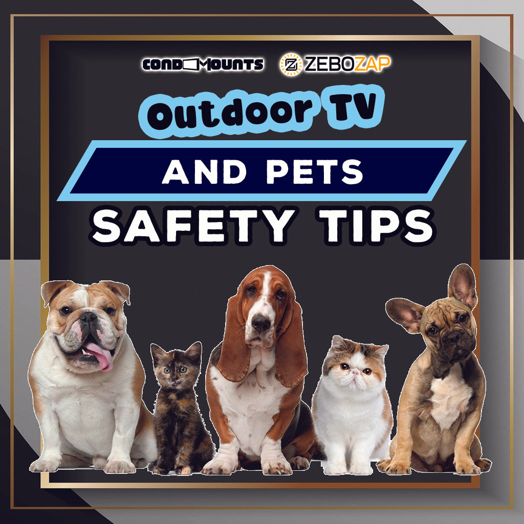 Outdoor TVs and Pets: Safety Tips